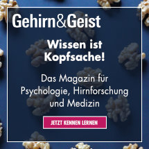 Gehirn und Geist