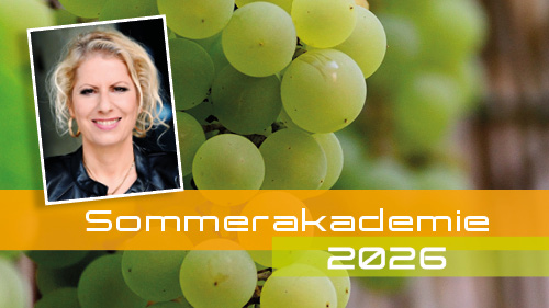 neuroraum Sommerakademie 2026